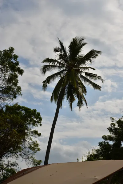 DSC_5480 (Large).JPG